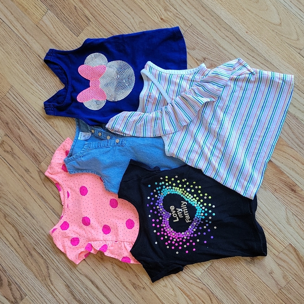 3T Toddler Girl Tops Bundle (5 Pieces)